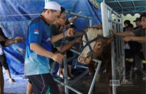 Qurban Idul Adha UNIDA Gontor