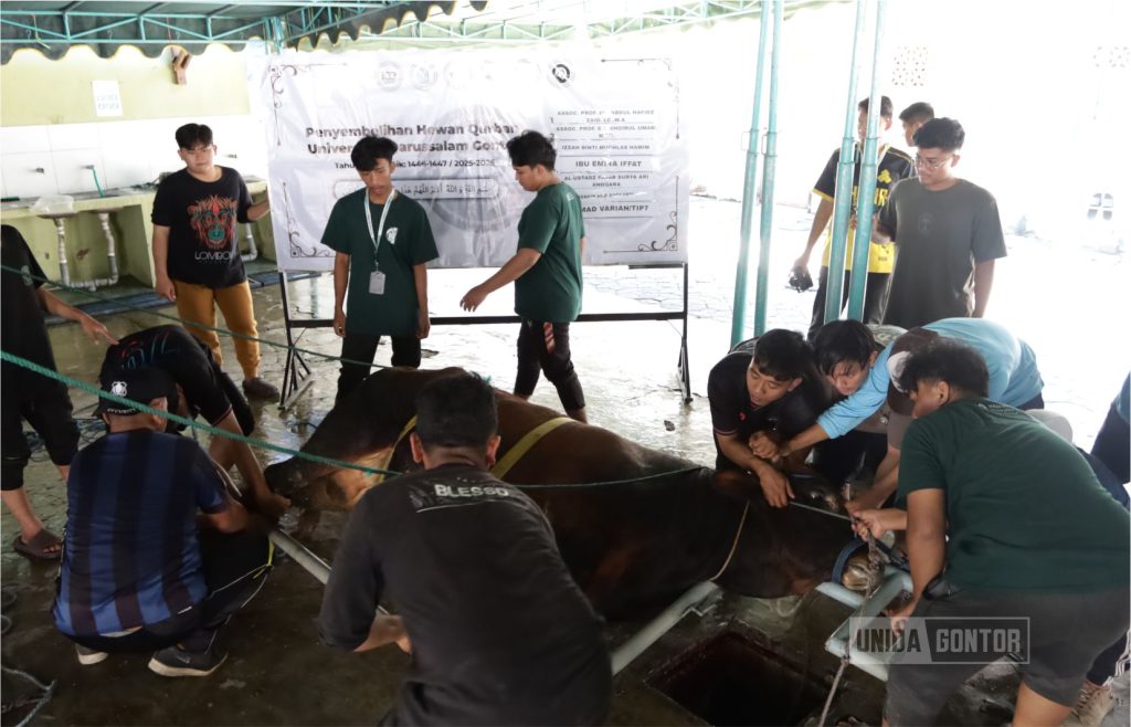 Sinergi Dosen dan Mahasiswa UNIDA Gontor dalam Pelaksanaan Qurban Idul Adha