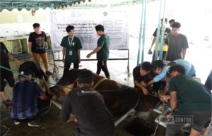 Qurban UNIDA Gontor