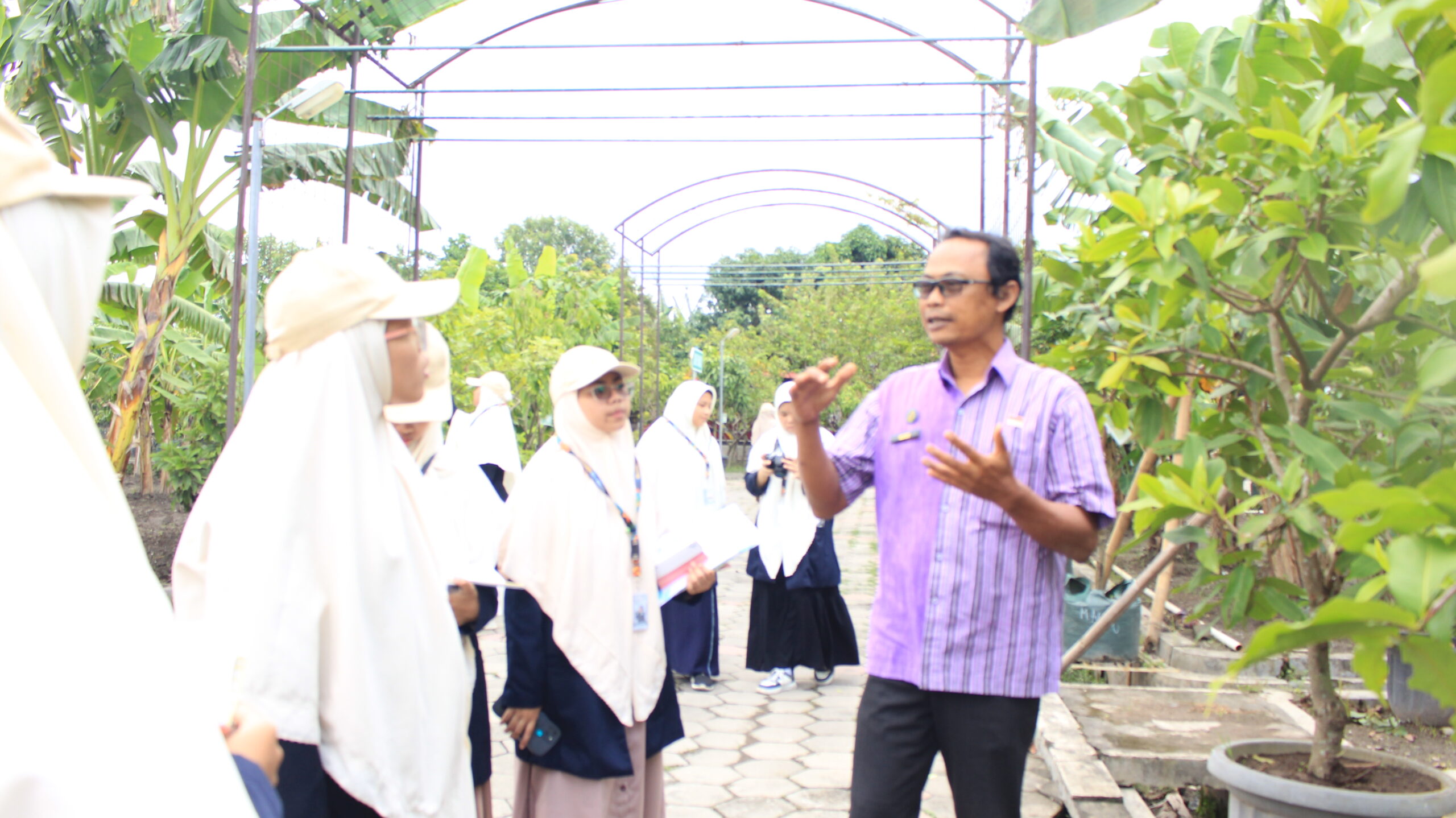 Mahasiswi Agroteknologi UNIDA Gontor mengamati koleksi plasma nutfah pisang dan penjelasan teknis dari tim Dinas Pertanian dan Pangan Kota Yogyakarta di kebun percobaan.