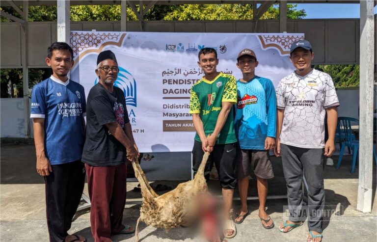 Pelaksanaan ibadah qurban di Universitas Darussalam Gontor dengan suasana kebersamaan dan gotong royong