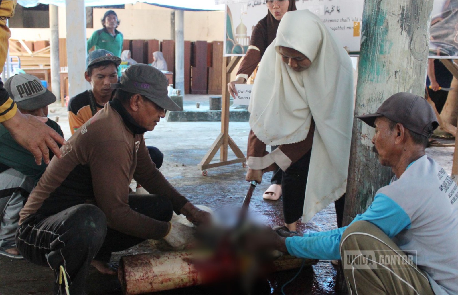 Pelaksanaan rangkaian kegiatan Iduladha di UNIDA Gontor Kelas C yang melibatkan civitas akademika dalam qurban, perlombaan, dan bakti sosial